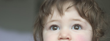 Sensibilidad al gluten: cuando las pruebas dan negativo pero el gluten le sienta mal