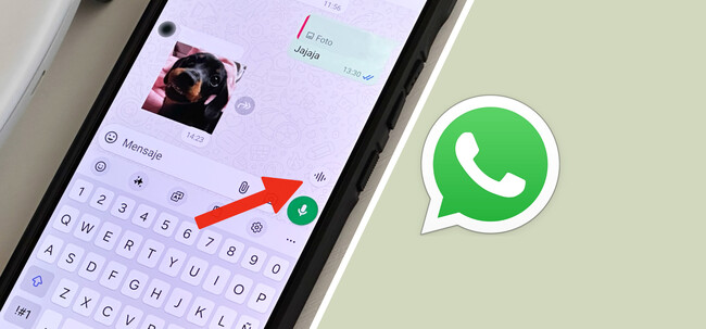 Whatsapp Nueva Funcion Discord