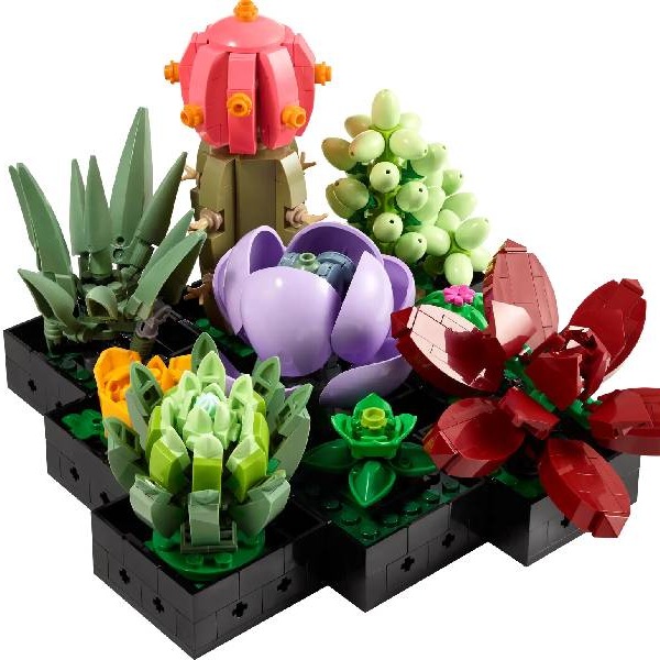 Set LEGO Suculentas