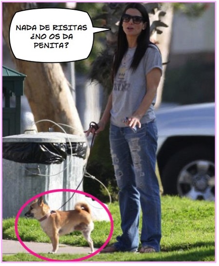 Sandra Bullock y su perro de tres patas