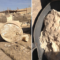 3.200 años de brucelosis: el queso más antiguo del mundo es una advertencia contra la leche cruda