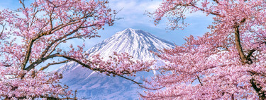 Cansados de la invasión de turistas, esta ciudad de Japón ha cancelado su festival del cerezo: “Tenemos una fuerte sensación de crisis”