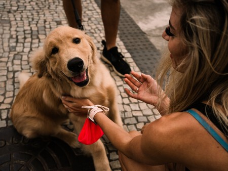 Perros Saben Cosas