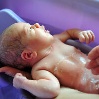 ¿Te da miedo bañar por primera vez a tu bebé? Cuándo y cómo bañar al recién nacido paso a paso