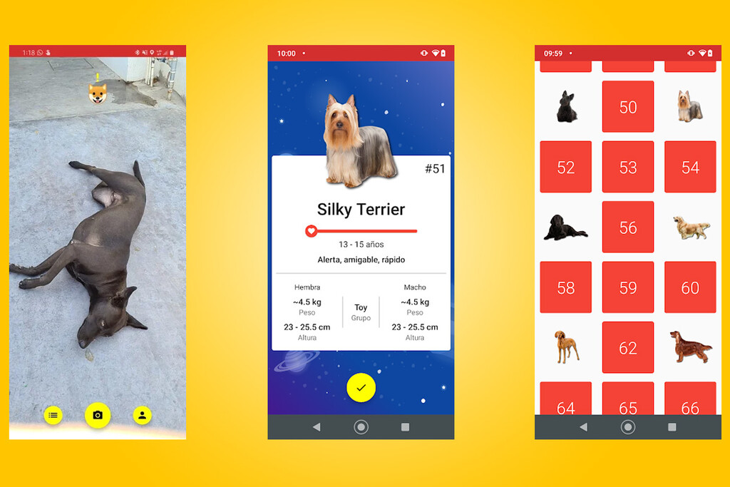Todogs es una app para identificar y catalogar a los perros que te encuentras por la calle