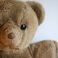 "Teddy Bear Hospital", el proyecto que ayuda a que los niños se familiaricen con los procedimientos médicos 