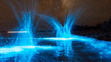 Las mareas rojas en Australia son azules gracias a la bioluminiscencia