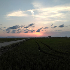 Foto 31 de 34 de la galería asus-zenfone-ar en Xataka