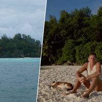 Homem comprou ilha deserta em 1962, plantou 16 mil árvores e a transformou em santuário anti-ricos 