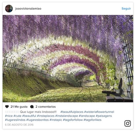 Parque Glicinias