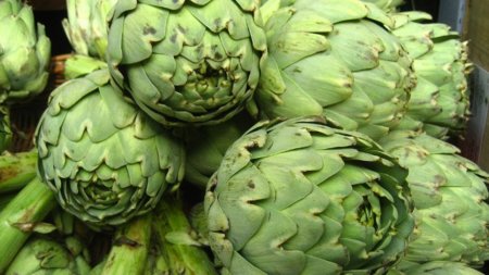 La alcachofa, una desconocida fuente de potasio