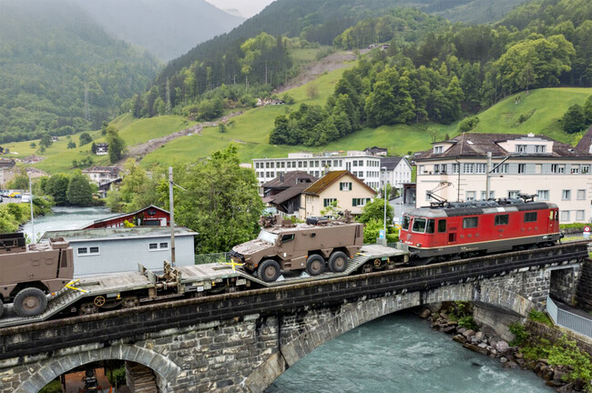 Griffon Suisse Pont