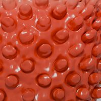 Esta bactéria ficou congelada por 5.000 anos e se mostra resistente aos antibióticos modernos agora que foi despertada 