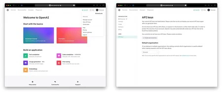 OpenAI で API キーを取得します。