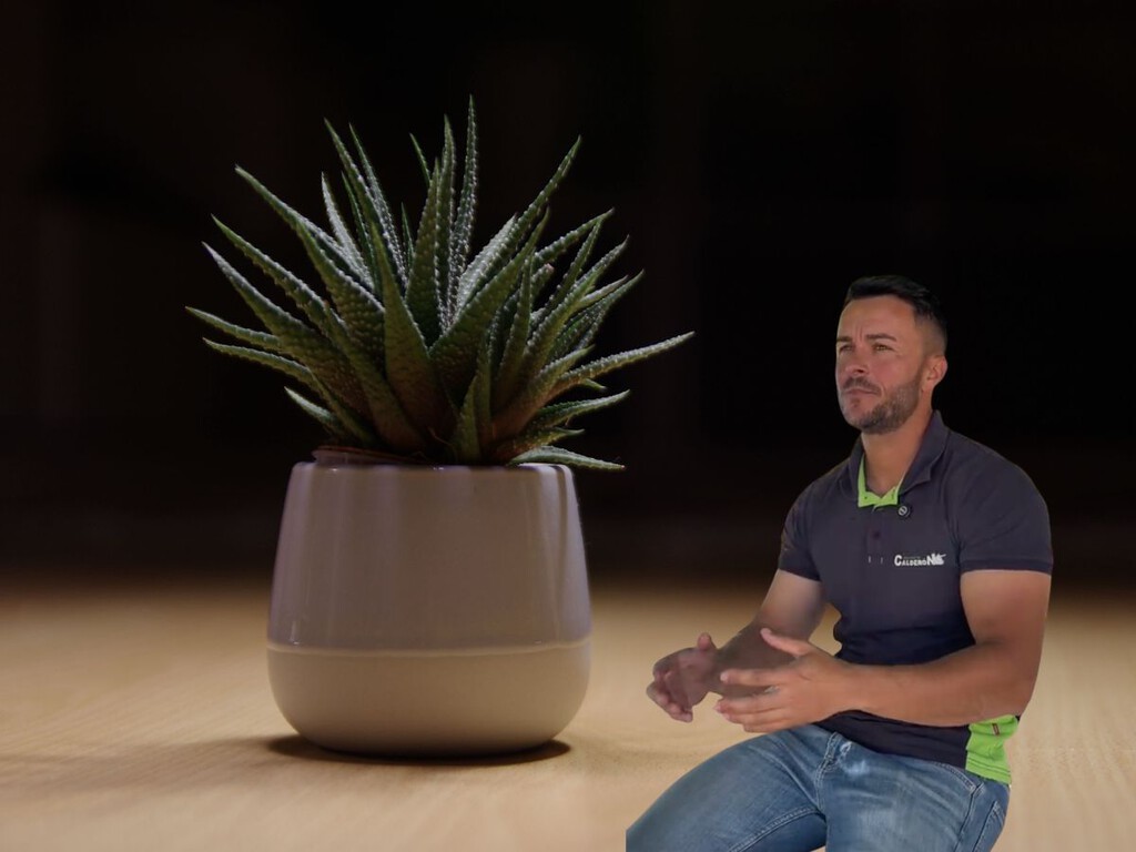 Joan Calderon, experto en jardinería: “Estas son las tres plantas que jamás mueren, aunque te olvides de regar”
