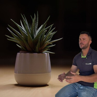 Joan Calderon, experto en jardinería: “Estas son las tres plantas que jamás mueren, aunque te olvides de regar” 