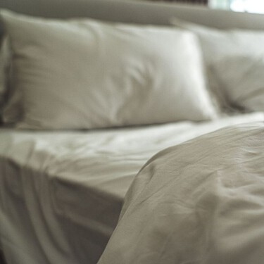 Las chinches de cama llegan en otoño, pero se pueden ahuyentar con estos sencillos métodos caseros