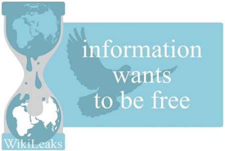 Wikileaks al descubierto, ¿salen las cuentas?