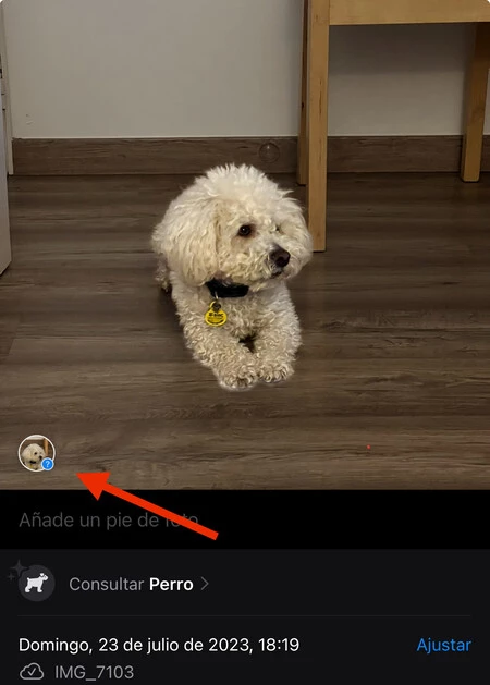 ペット iOS 17 iPhone アップル