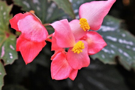 Pexels Karen F 1376469 6816818