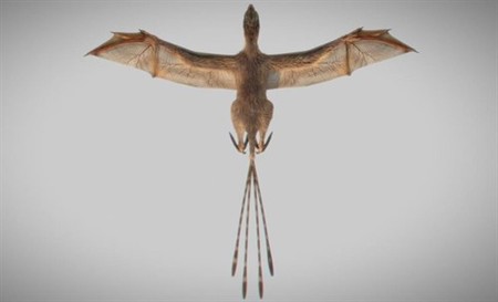 Este nuevo dinosaurio descubierto tiene alas de murciélago