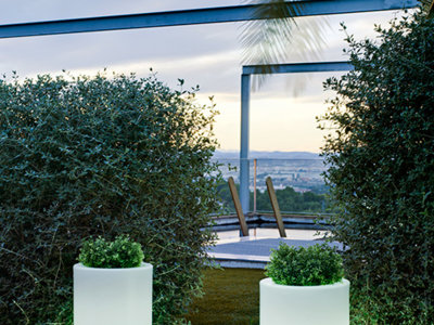 Tres tendencias "wow" para tu jardín 