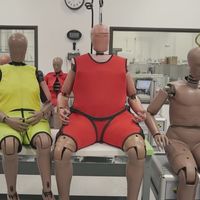 Más viejos y gordos: así serán los dummies en consonancia con la población media estadounidense