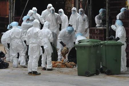 Enfermedades infecciosas emergentes y reemergentes, el peligro de la globalización (I): Zoonosis, clasificación y evolución