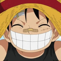 La madre de Luffy es uno de los mayores misterios de 'One Piece'. Eiichiro Oda acaba de presentar a una nueva candidata