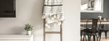 Este jueves llegan a Lidl las plantas más bonitas para decorar el salón o la oficina fácilmente 