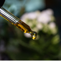 Inovação na medicina: estudo revela que pequenas doses de THC da cannabis podem desarmar células agressivas de câncer de mama e travar metástases 