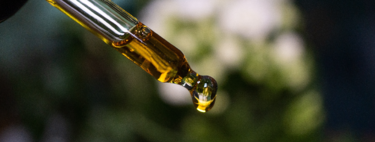Inovação na medicina: estudo revela que pequenas doses de THC da cannabis podem desarmar células agressivas de câncer de mama e travar metástases 