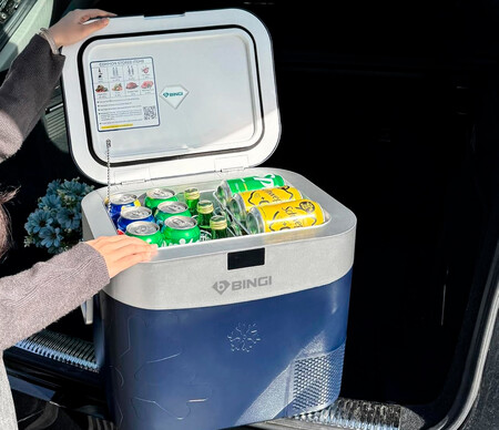 Bingi Nevera Portatil Electrica 22l