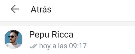 Mensajes Leidos Telegram