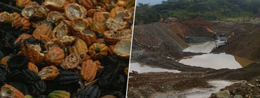 Páscoa em risco: o "apocalipse do chocolate" só precisava de mais um inimigo para fazer os preços do cacau dispararem