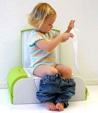 Potty Bench