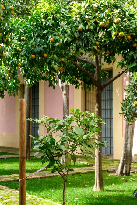 Photo 1762872502140 0026fe0c8f33