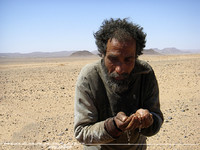 Marruecos 2014: El nómada sediento