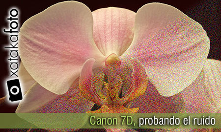 Canon 7D, análisis del ruido