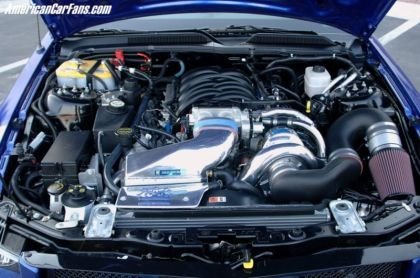 Shelby WCC Mustang