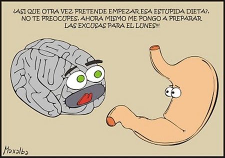 Las dietas también afectan el cerebro