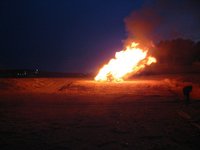 ¿Hacemos una hoguera con nuestro dinero?