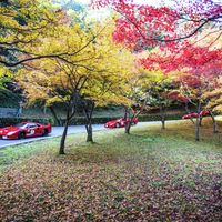 La International Cavalcade 2016 se resume en estas 10 preciosas imágenes 