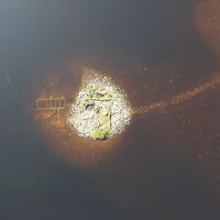 Algo insólito acaba de aparecer en Escocia: una isla artificial con una estructura de madera y piedra más antigua que Stonehenge
