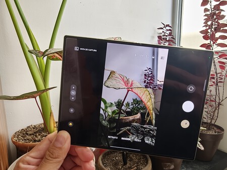 Compra Y Prueba Samsung Mexico 7