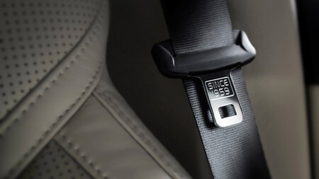 Cinturon Seguridad 3