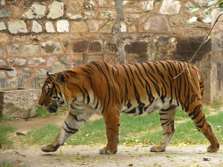 Caminos de la India: jaipur-01