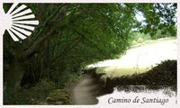 Guía del Camino de Santiago: Cómo preparar el Camino (I)
