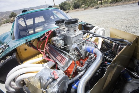 Cheetah Alan Green 3