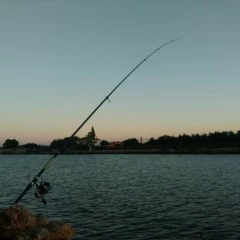 Foto 3 de 5 de la galería fotos-del-blu-win-jr en Xataka Móvil